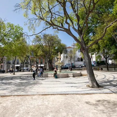 Bairro Alto Lovely Studio, Sao Pedro De Alcantara 아파트 *